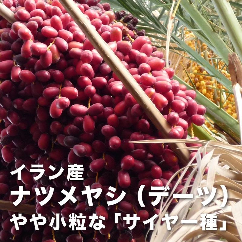 ドライフルーツ デーツ(イラン産)800g×1袋 ポイント利用 セール 送料