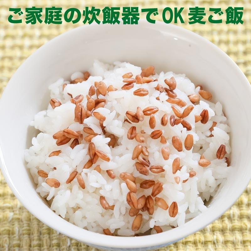 最大40%OFFクーポン レジスタントスターチ スーパー大麦 バーリーマックス 900g×1袋 送料無料 メール便限定⇒送料0円 materialworldblog.com 最大40%OFFクーポン レジスタントスターチ スーパー大麦 バーリーマックス 900g×1袋 送料無料 メール便限定⇒送料0円 materialworldblog.com