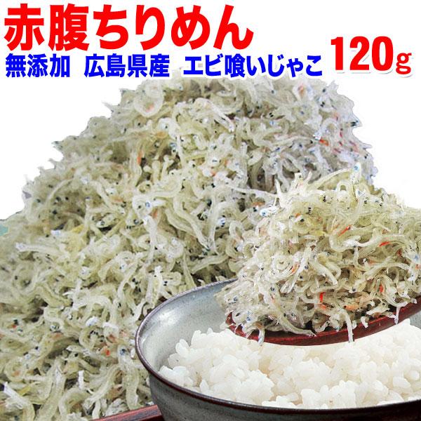 Web限定 9 25以降の発送予定 えび えび食い 赤腹 ちりめんじゃこ 無添加