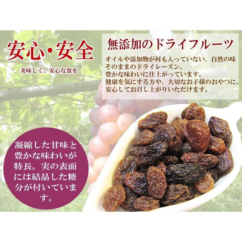 【予約商品】 レーズン 無添加 300g ノンオイル(トルコ産)ドライフルーツ メール便限定 送料無料 ※2023年4月下旬以降の発送予定｜onomichi-marukin｜04