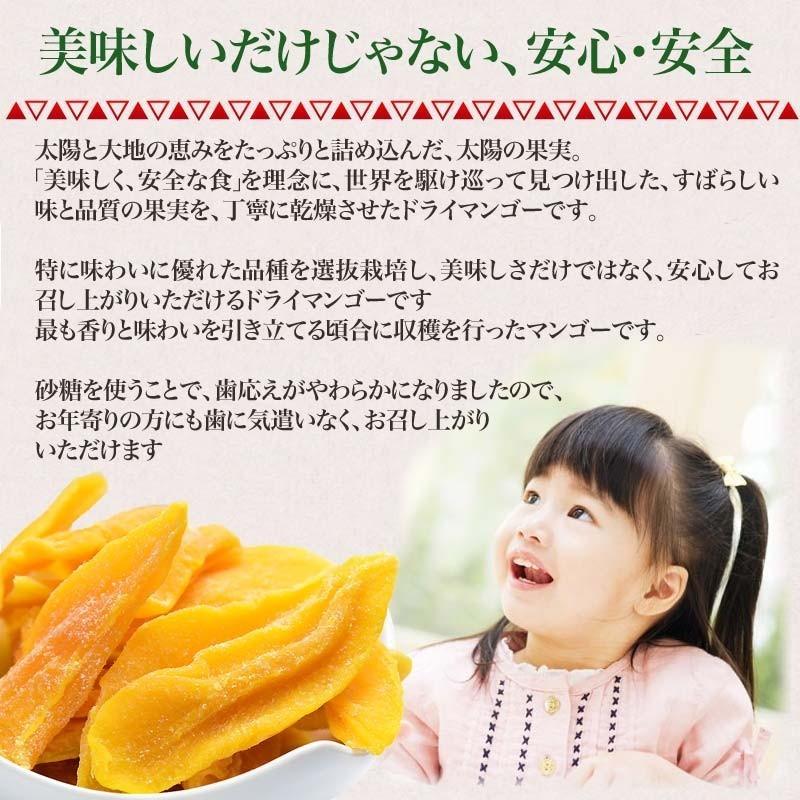 【ざっくりギフト】 ドライマンゴー 400g× 1袋 送料無料 メール便限定 カンボジア産 砂糖使用 日時指定不可 プチギフト｜onomichi-marukin｜05