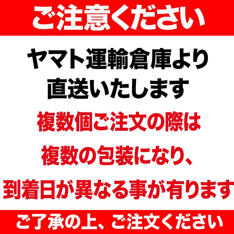 イカ 珍味 おつまみ のしいか 127g セール　メール便限定 送料無料｜onomichi-marukin｜07