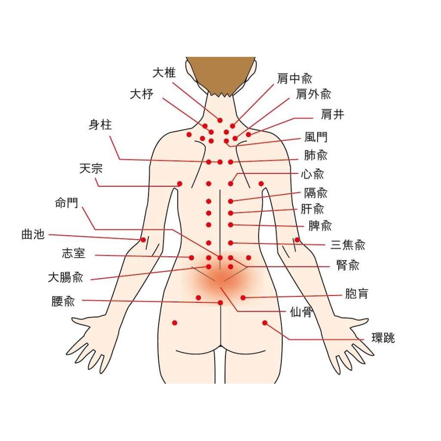 TAKUBOTA カッピング シリコンカッピング 吸い玉 ポータブル ソフトヘルスカッピング ブラック 8個セット CAPI-001 |  | 07