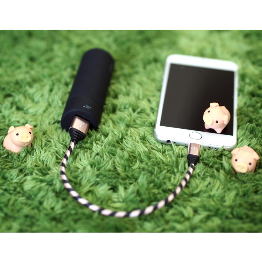 閉店セール 期間限定90%off Apple Lightning USBケーブル ナイロン編み 25cm ライトニング 高耐久 iPhone iPad iPod など対応 全6色 m.a.h |  | 16