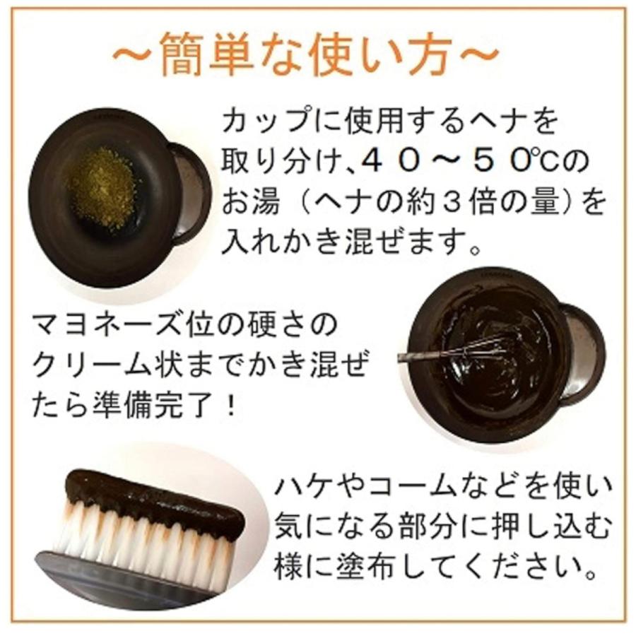 ヘナ 白髪染め インディゴセット オーガニック ナチュラル カラー ノンジアミン サロン愛用品 各１００ｇ 人気海外一番 エムズハーブ 天然 a ランク