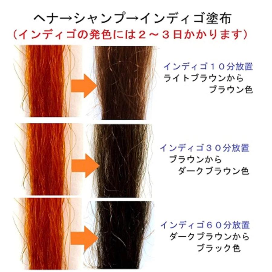ヘナ 白髪染め インディゴセット オーガニック ナチュラル カラー ノンジアミン サロン愛用品 各１００ｇ 人気海外一番 エムズハーブ 天然 a ランク