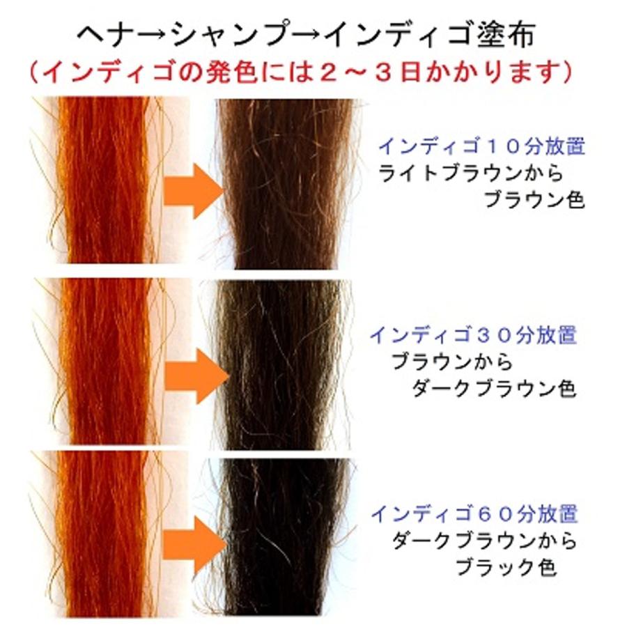 ヘナ 白髪染め インディゴ オーガニック ナチュラル カラー 2００ｇ 毎日続々入荷 サロン愛用品 天然 aランク ノンジアミン エムズハーブ