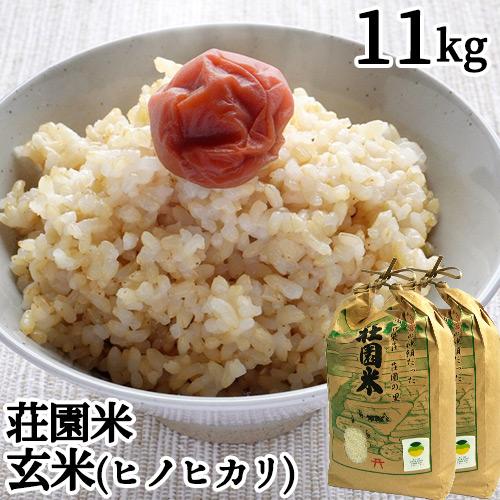 令和7年度産 大分県豊後高田市産 荘園米 ヒノヒカリ 玄米 11kg(5.5kg×2