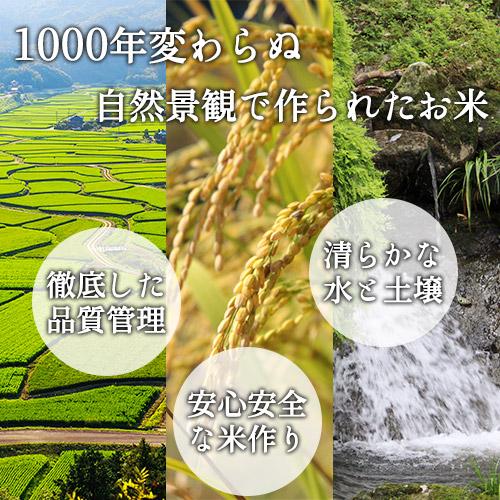 令和7年度産 大分県豊後高田市産 荘園米 ヒノヒカリ 玄米 11kg(5.5kg×2