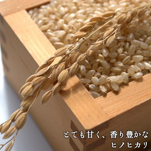 令和7年度産 大分県豊後高田市産 荘園米 ヒノヒカリ 玄米 11kg(5.5kg×2
