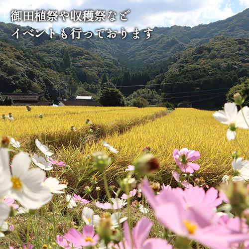 令和7年度産 大分県豊後高田市産 荘園米 ヒノヒカリ 玄米 11kg(5.5kg×2