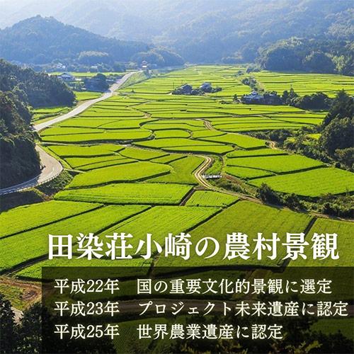 令和7年度産 大分県豊後高田市産 荘園米 ヒノヒカリ 玄米 11kg(5.5kg×2