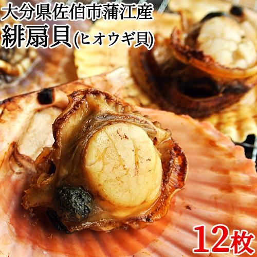 最大55 オフ 大分県佐伯市蒲江産 まるとの緋扇貝 ヒオウギガイ 12枚 まると水産 包装不可 送料込 4 480円 Aynaelda Com