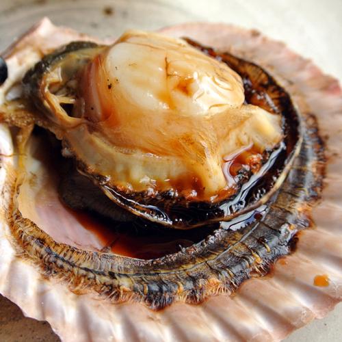 最大55 オフ 大分県佐伯市蒲江産 まるとの緋扇貝 ヒオウギガイ 12枚 まると水産 包装不可 送料込 4 480円 Aynaelda Com