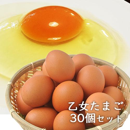 豊の国 乙女たまご 10個入り×3パック 合計30個(20個＋保証分10個) 大分