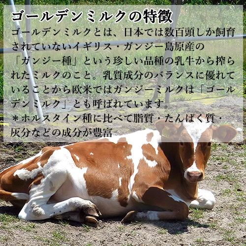 大分久住 ガンジーファーム ガンジー牛 ぬいぐるみ 親子セット ガンジー牧場 大分久住 ガンジーファーム ガンジー牛 ぬいぐるみ 親子セット