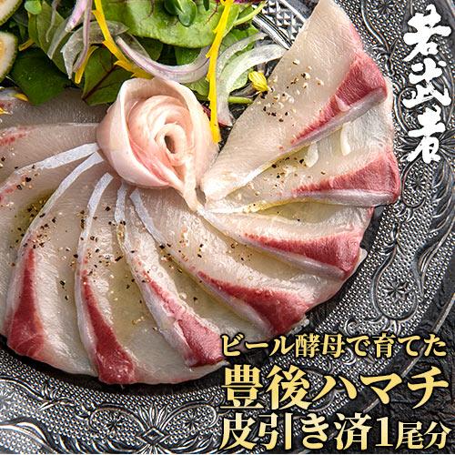 大分県佐伯市産 ビール酵母で育てた豊後ハマチ 若武者 スキンレス 皮引き済 1尾分 頭 カマ付き お刺身 浪井丸天水産 日時指定必須 J おんせん県おおいた Online Shop 通販 Yahoo ショッピング