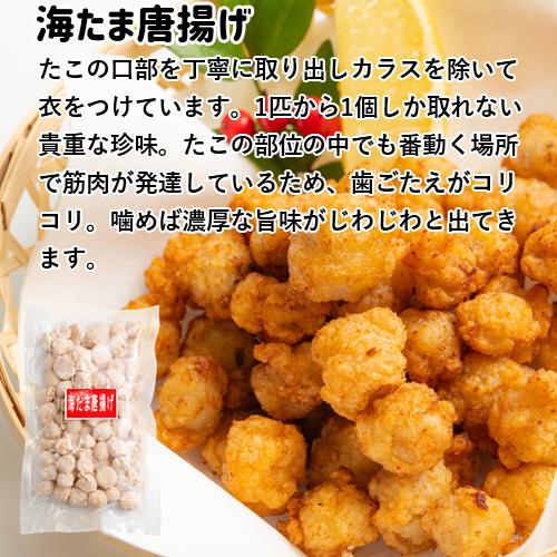 祝開店大放出セール開催中 国産真だこ満喫セット お惣菜おつまみ8種 冷凍 タコ 真蛸 お惣菜 おつまみ 一品おかず 海鮮 蛸職人 有限会社網中水産 送料込 Riosmauricio Com