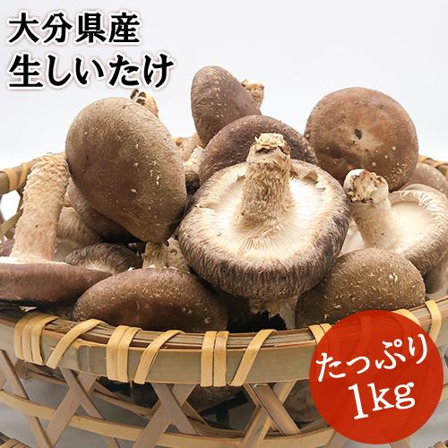 湯布院生まれの生しいたけ 1kg 無農薬栽培 100%国産 由布のしいたけ