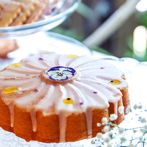 お祝い用 食べられるお花ケーキ オレンジケーキ ホール 400g 直径15cm Pomponchouchou 花と菓子と 送料無料 おんせん県おおいた Online Shop 通販 Paypayモール