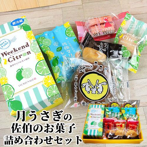 佐伯のお菓子詰め合わせセット 13個入 月うさぎ 古川製菓 送料込