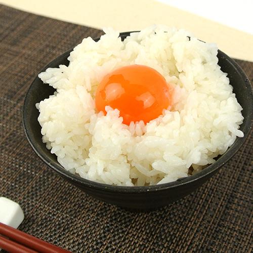 のびのび放し飼い 平飼い烏骨鶏のたまご 10個入り×2パックセット のびのび放し飼い 平飼い烏骨鶏のたまご 10個入り×2パックセット