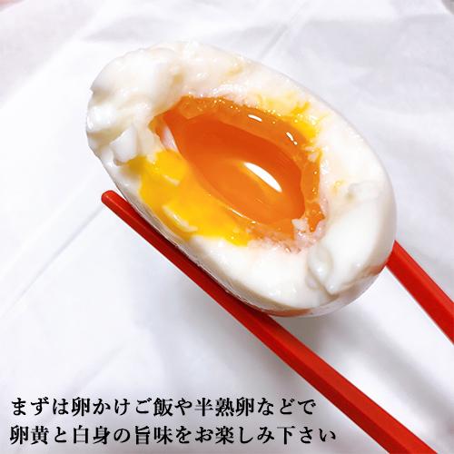 のびのび放し飼い 平飼い烏骨鶏のたまご 10個入り×2パックセット のびのび放し飼い 平飼い烏骨鶏のたまご 10個入り×2パックセット