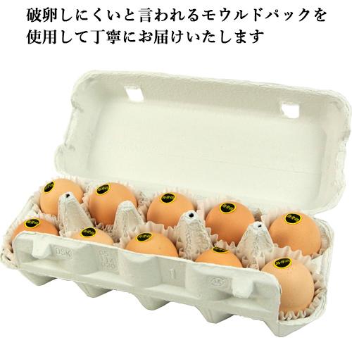 のびのび放し飼い 平飼い烏骨鶏のたまご 10個入り×2パックセット のびのび放し飼い 平飼い烏骨鶏のたまご 10個入り×2パックセット