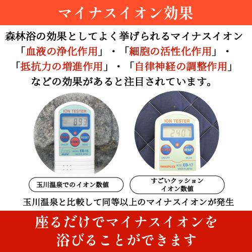 ホルミシスエアー すごいクッション 約40×40cm 厚さ6cm 完全日本 ホルミシスエアー すごいクッション 約40×40cm 厚さ6cm 完全日本