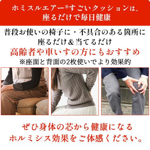 ホルミシスエアー すごいクッション 約40×40cm 厚さ6cm 完全日本 ホルミシスエアー すごいクッション 約40×40cm 厚さ6cm 完全日本