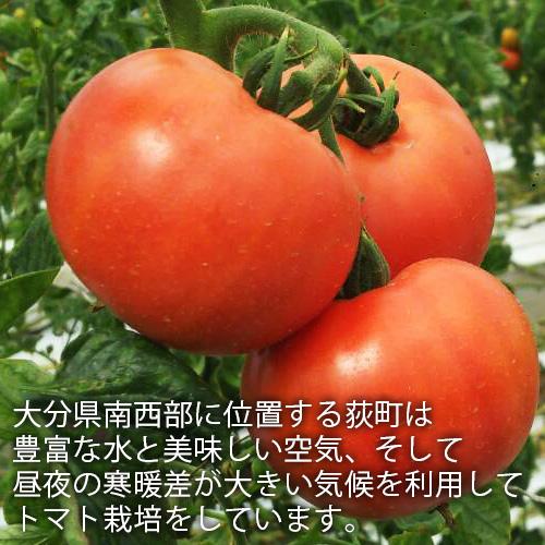 トマトジュース 500ml エム・ナイン(めぐみ会)｜onsenken-oita｜05