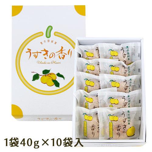 大分県産完熟かぼす使用 豊の国銘菓 カボスブッセ うすきの香り 1個 40g 10袋入り 箱 かぼす工房 送料無料 おんせん県おおいた Online Shop 通販 Paypayモール