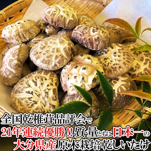 椎茸日本一の大分県産100 クヌギ原木栽培干しシイタケ 肉厚な どんこ 大分県椎茸農協 高級な 100g トレーサビリティ付