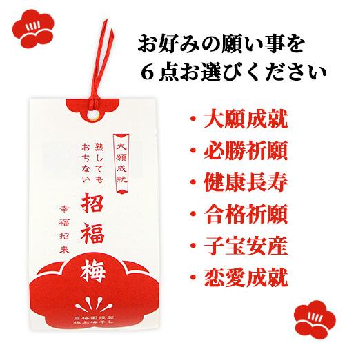 大分県産無添加梅干し 招福梅(一粒入り)×選べる6個セット オリジナル品種 森梅園 送料込｜onsenken-oita｜07