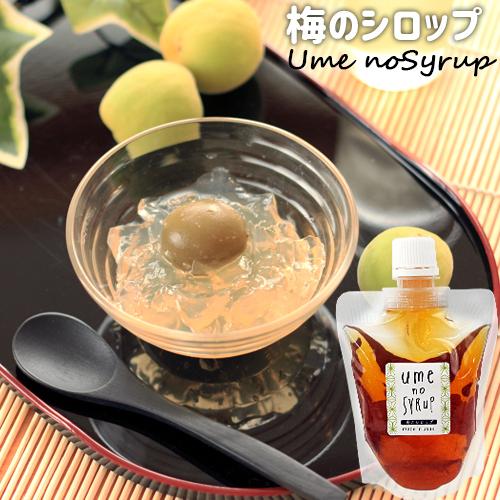 人気ブランドの新作 大分県臼杵市産 無添加シロップ 選べる 0g 3個セット 生姜シロップ レモンシロップ 梅シロップ お菓子作りや紅茶などに めぐみ工房 送料込2 680円 Aynaelda Com