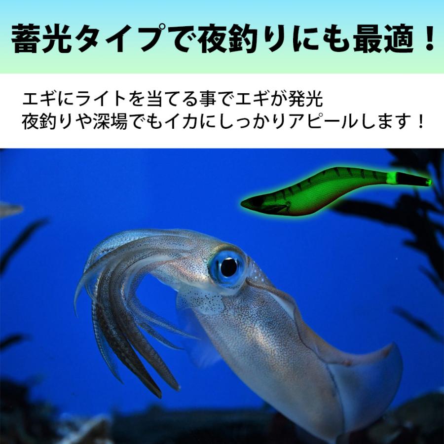 エギ 10本 セット エギング 2.5号 3号 3.5号 ケース付 ラトル入り 夜光