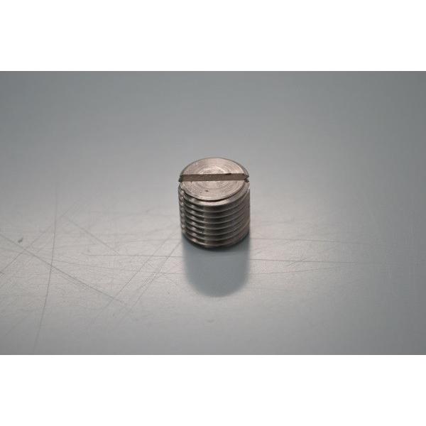 SWAN 池永鉄工 SI-100S用　ブレーキ調節ネジ 　業務用 電動かき機用 スワン　 | 