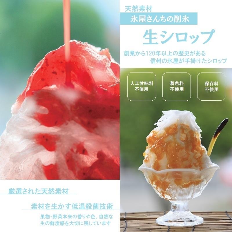 【業務用】冷凍 生シロップ【いちご】1kg 6個セット 氷屋さんちの削氷 宮下製氷 信州 天然素材 果物 フルーティー かき氷シロップ フルーツソース 製菓 イベント |  | 01