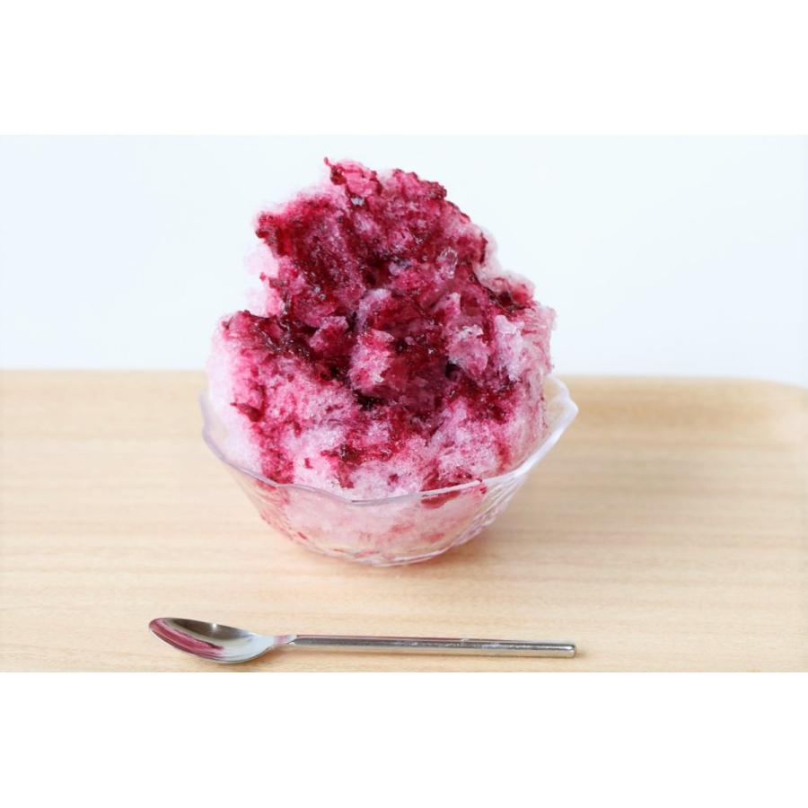 【業務用】冷凍 生シロップ【ナガノパープル】1kg 6個セット 氷屋さんちの削氷 宮下製氷 信州 天然素材 果物 フルーティー かき氷シロップ ソース イベント |  | 02