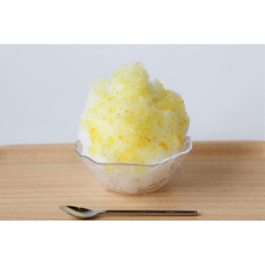 【業務用】冷凍 生シロップ【ゆず】柚子 1kg 6個セット 氷屋さんちの削氷 宮下製氷 信州 天然素材 果物 フルーティー かき氷シロップ フルーツソース イベント |  | 02