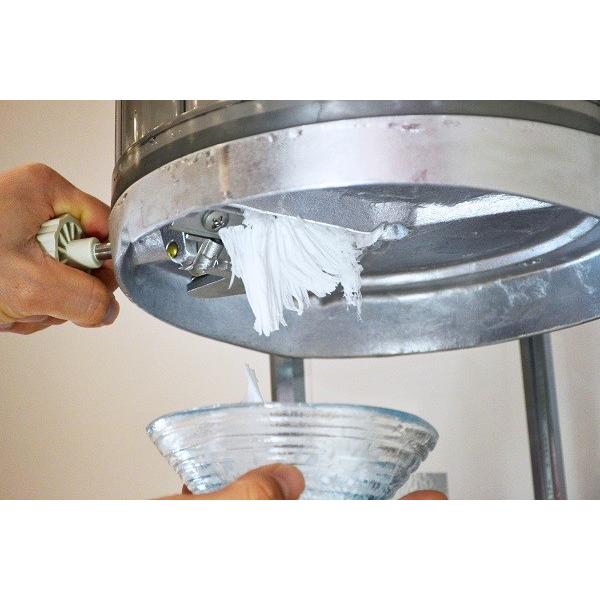 【送料無料】電動式ブロック氷専用かき氷機 TKSI-100S ブラック (選べるおまけ付) 当社オリジナル/池永鉄工/SWAN/黒/業務用/ふわふわ |  | 08