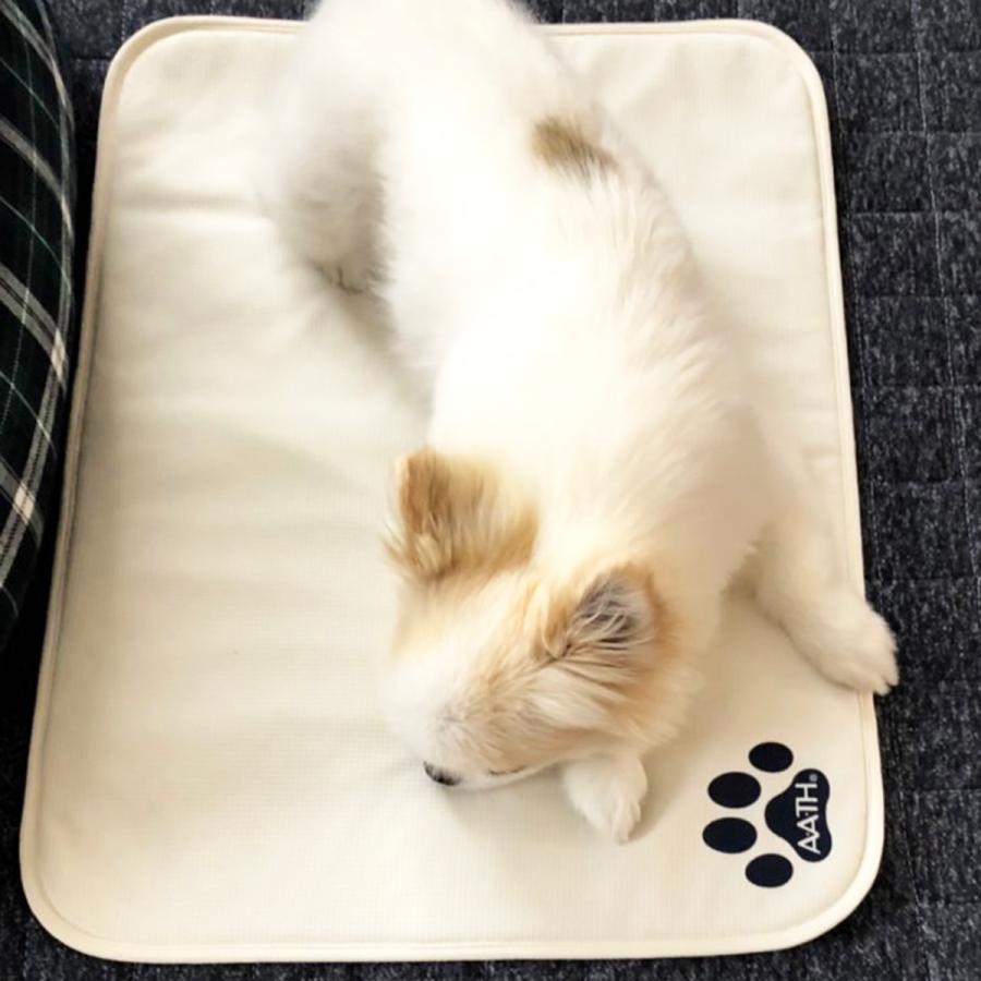 ワンちゃん 犬 ドッグ ペットマット AATH for Dogs RECOVERY SLEEPING MAT S (リカバリースリーピング