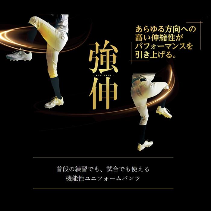 MIZUNO（ミズノ） ミズノプロ 練習用ストレッチパンツ ショート
