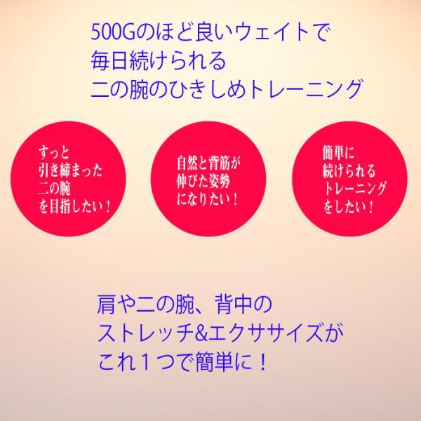 MIZUNO（ミズノ） ミッキー＆ミニー ボルレッチでエクササイズ