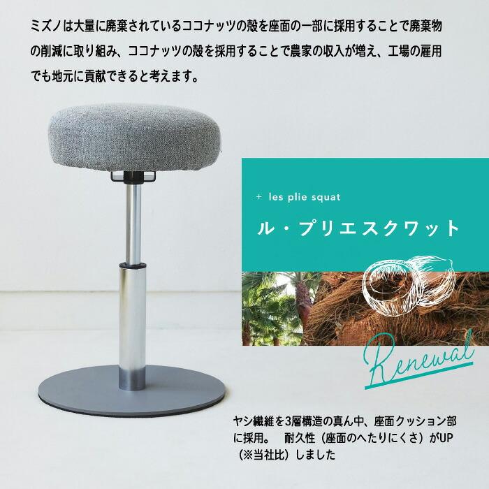 MIZUNO（ミズノ） ル・プリエ スクワット 椅子 トレーニング