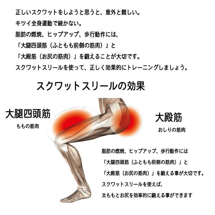 訳ありセール格安 ル プリエスクワット Mizuno 椅子 イス トレーニング スクワット 運動不足 足腰 健康 C3jhi905 完売 Softservo Co Jp