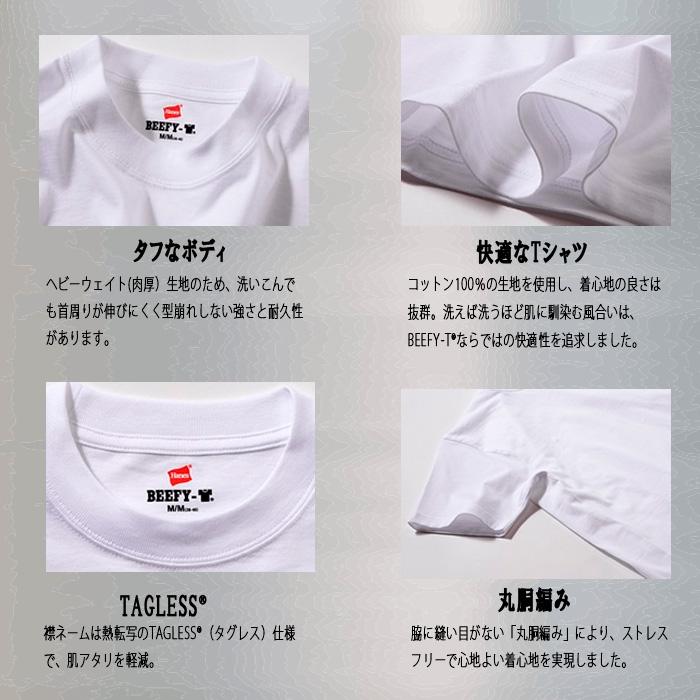 ヘインズ ビーフィー Tシャツ 2枚組 Hanes BEEFY-T 2枚セット 綿100