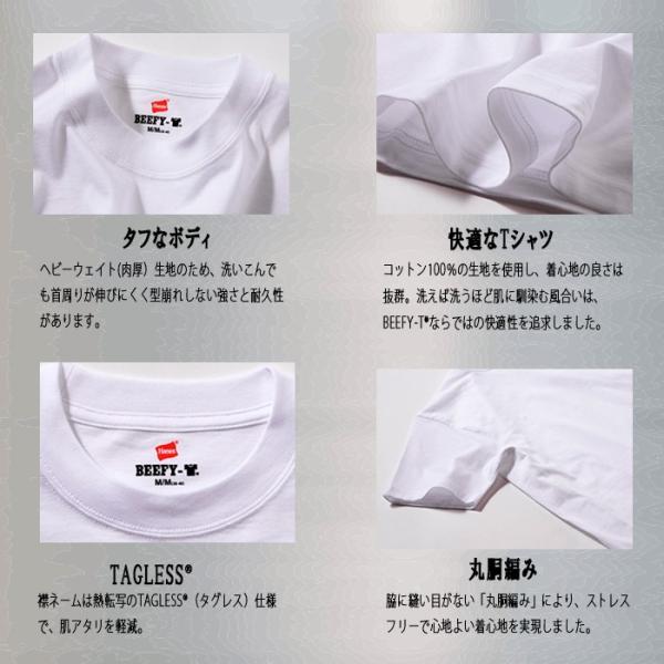 に*し様 tシャツ まとめ売り ヘインズ ビーフィー ファミt  L XL Hanes（ヘインズ） ビッフィー Hanes Tシャツ 2枚組 BEEFY ビーフィー