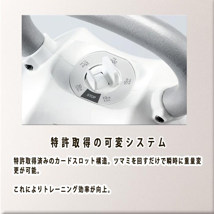 [専用出品]KINGboo キンボシ 充電式芝刈機 芝クリーンIII TF-30 リール刃4枚刃 刈幅300mm