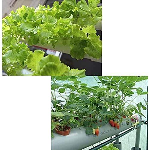 Intbuying 水耕栽培キット 土不要 プランター レタス 水菜など野菜育てる 室内 庭園栽培器 9パイプ S 1215 グッドライフ ショップ 通販 Yahoo ショッピング
